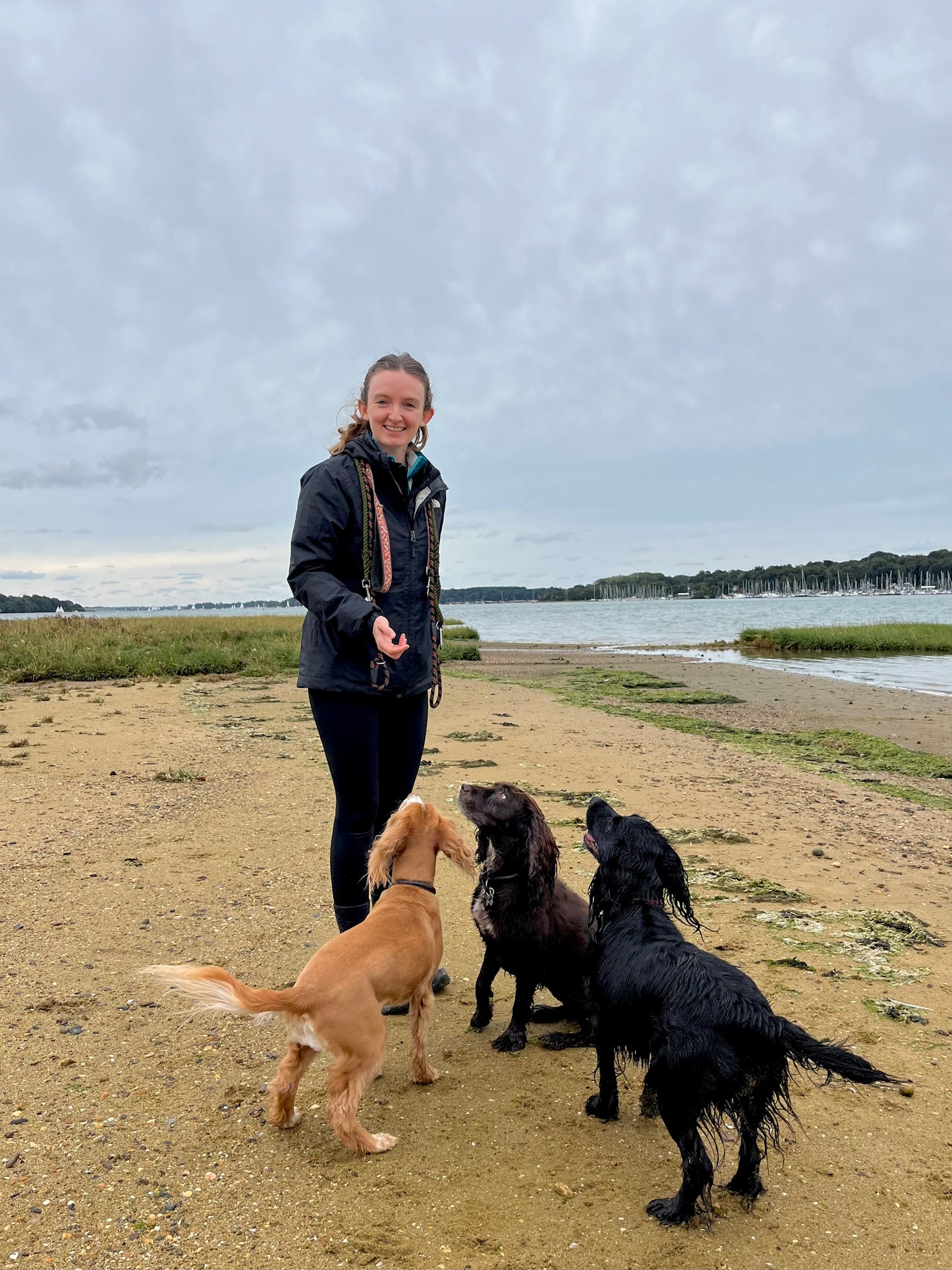 Club dog walk - One off